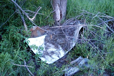 Waterford Drive-In Theatre - Screenparts - Photo From Water Winter Wonderland (newer photo)